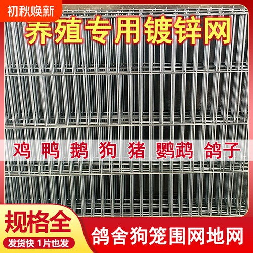 长孔镀锌铁丝网片狗笼鸽舍围栏踏网热镀锌养殖钢丝网加粗加密网格