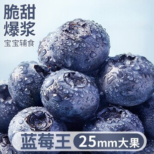 包邮 莓果 鲜果高山顺丰 现摘新鲜花香蓝莓水果黑莓特大果L25当季