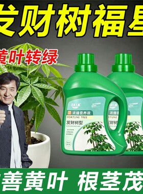 再生剂专用营养液黄叶枯叶烂根