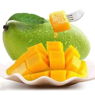 越南玉芒青芒现摘新鲜生青芒果需催熟芒果当季水果脆芒果整箱甜