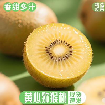 黄心猕猴桃河南西峡特产优质水源奇异果现摘现发黄心大果新鲜包邮