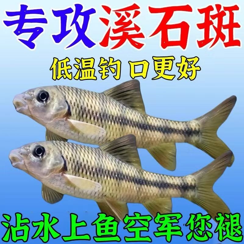 溪石斑鱼专用饵料粉饵腥香中国