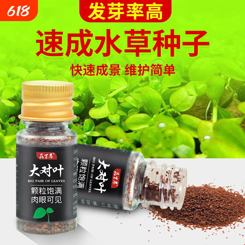 水草种子鱼缸造景套餐水草种孑植物种籽绿植前景养鱼鱼缸水底草坪