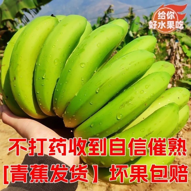 【软糯香甜】正宗高山香蕉青皮绿皮精致单根果农现摘整箱批发水果,水产肉类/新鲜蔬果/熟食,香蕉,淘宝优惠券,粉丝福利购,淘宝优惠卷