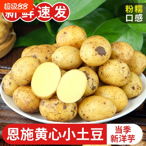 恩施高山小土豆当季现挖新鲜发货