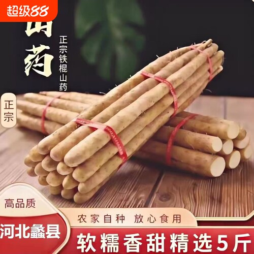 正宗铁棍山药新鲜铁杆淮山药河北小白嘴山药农家自种新货源头直发