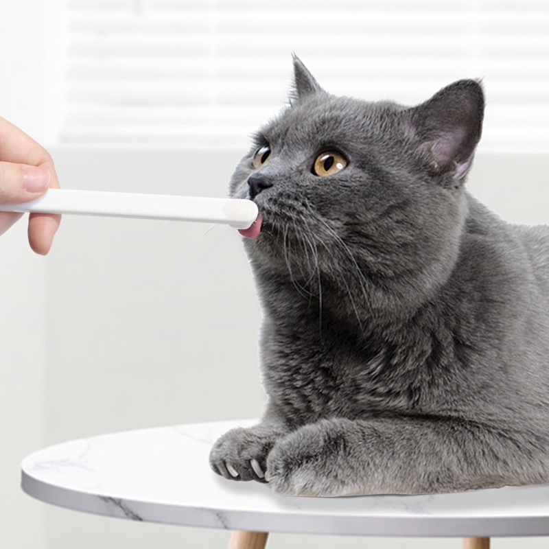 牙刷/宠物A1vl0-刷牙齿口牙缝刷万毛刷手指套狗猫小头软毛