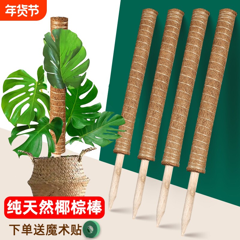 龟背竹支撑杆椰棕棒植物攀爬藤棕榈柱绿萝固定防倒伏花架椰丝苔藓