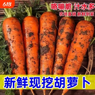 胡萝卜新鲜农家自种河南蔬菜水果可生吃即食甜脆宝宝辅食9斤批发
