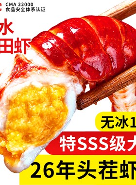 龙虾尾特大号无冰小龙虾麻辣虾尾冷冻生鲜虾球鲜冻批发商用10斤