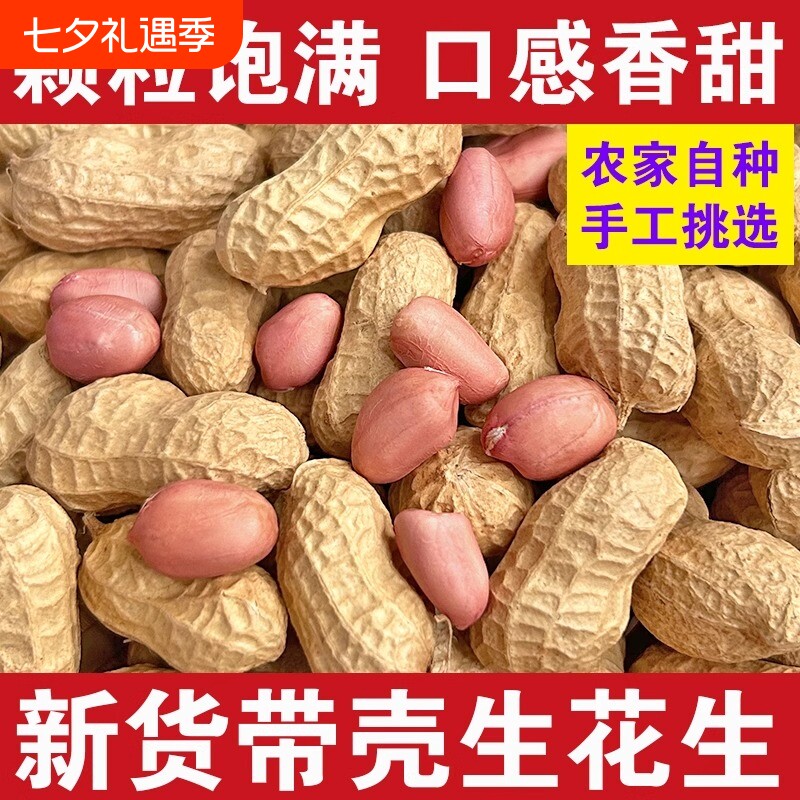 生花生带壳花生晒干农家自产新货带壳薄干花生种子高产生原味花生