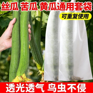 苦瓜丝瓜套袋无纺布防虫专用青黄瓜果水瓜网透气果蝇针蜂葡萄青瓜