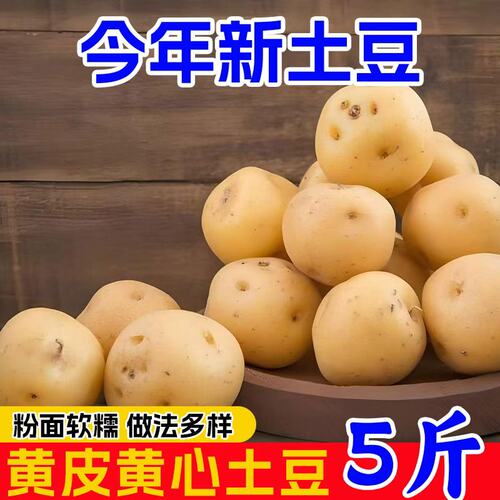 恩施小土豆黄心小洋芋
