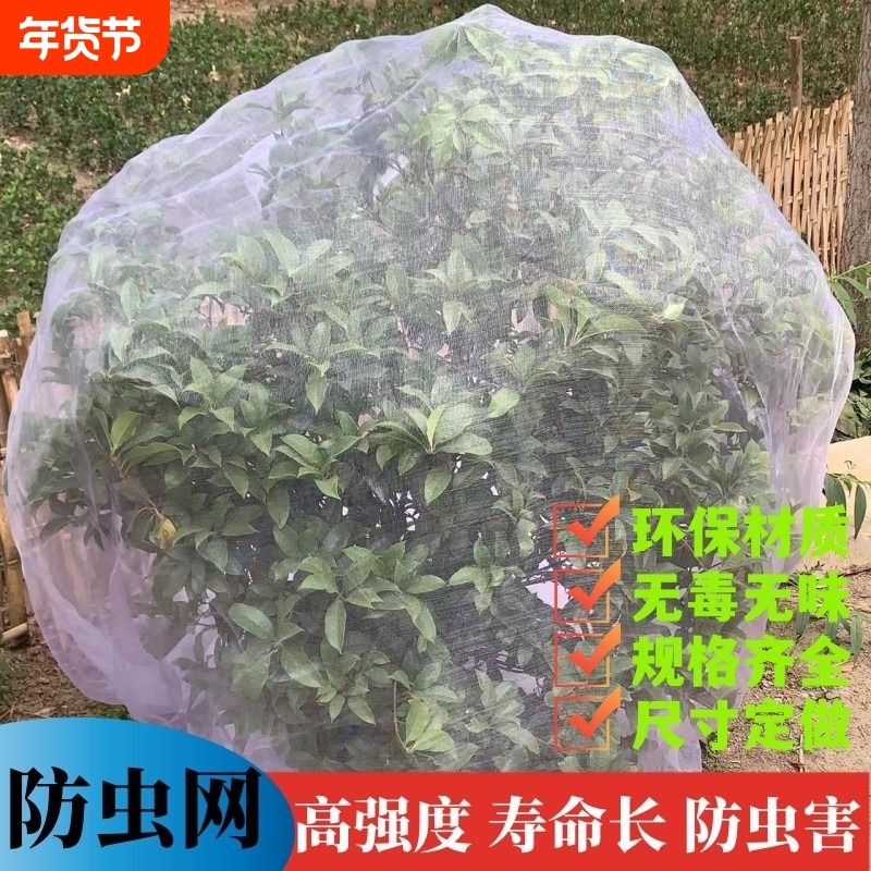 透明白纱网套罩防鸟防虫网罩果树蔬园艺防冰雹病虫害蚊虫果蝇针蜂