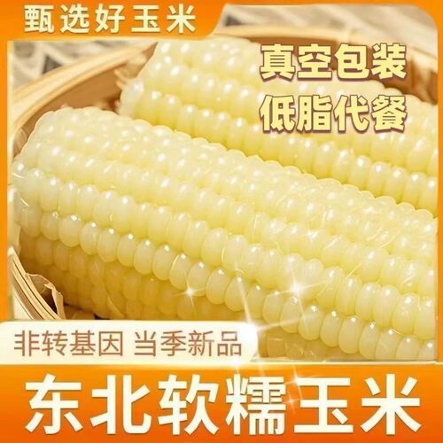 2025新玉米东北白糯玉米正宗玉米粗粮鲜食新鲜糯玉米大棒真空装