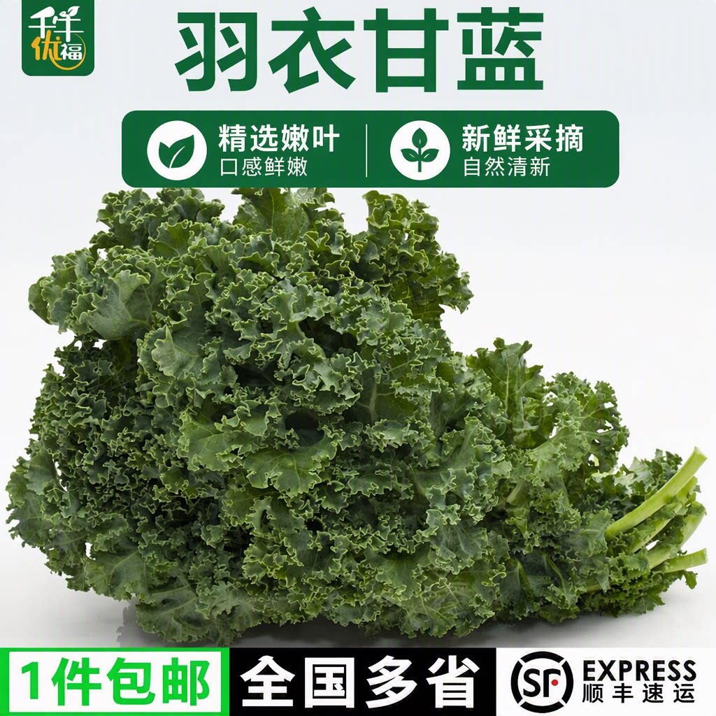 羽衣甘蓝1斤-3斤新鲜嫩叶甘兰kale榨汁食材原料蔬菜沙拉轻食食用