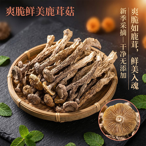 滋补云南特色菌菇鹿茸菇脆脆菇