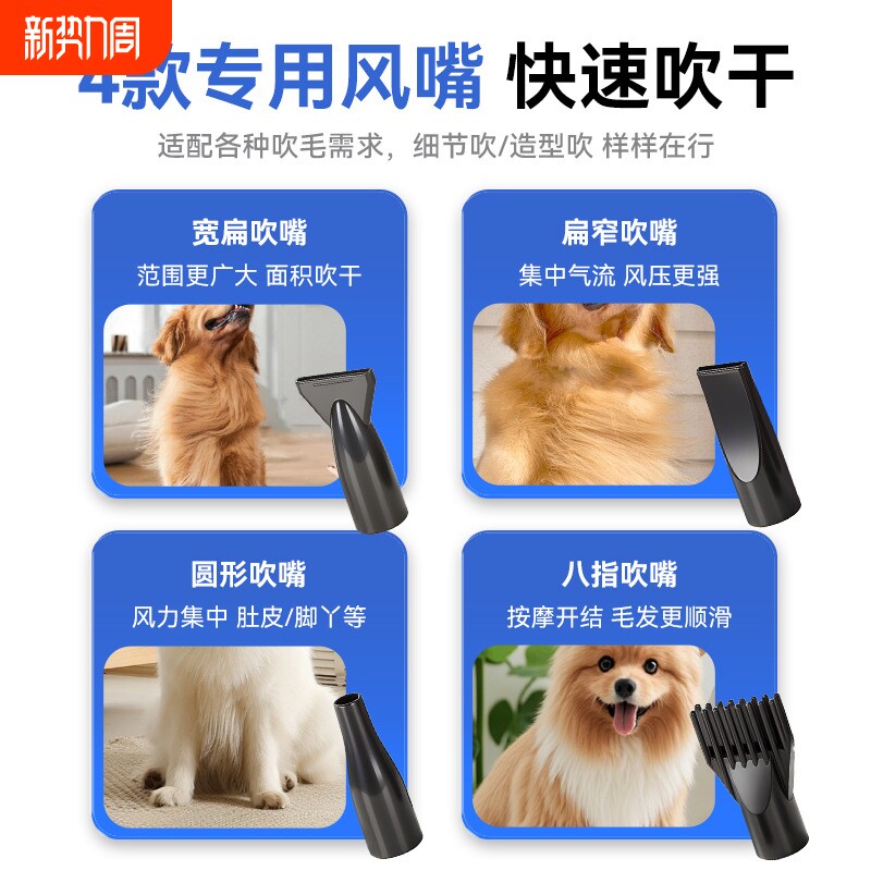 宠物吹水机狗狗吹风机宠物吹毛机强风低噪烘干箱猫咪洗澡吹干神器