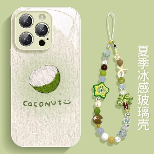 创意防摔个性风油画椰子壳