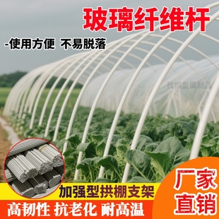 小拱棚玻璃纤维杆支架塑料大棚冬季地膜蔬菜棚高弹力温室实心拱杆