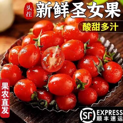 顺丰包邮圣女果新鲜小番茄现摘鲜发应季水果番茄酸甜爆汁水果番茄