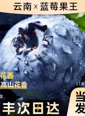 蓝莓新鲜大果现摘现发当季孕妇宝宝辅食整箱批发顺丰包邮一颗花香