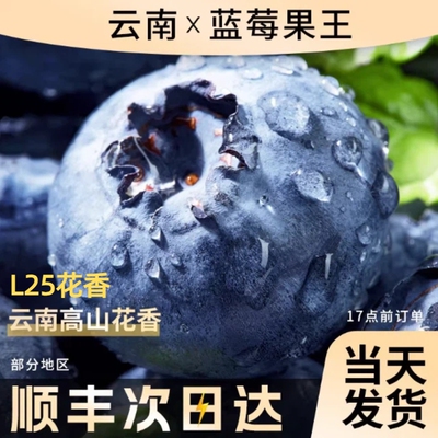 蓝莓新鲜大果现摘现发当季孕妇宝宝辅食整箱批发顺丰包邮一颗花香