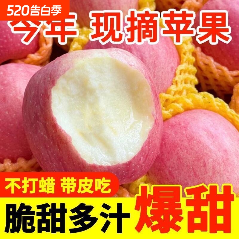 高品质正宗脆甜红富士苹果多汁当季新鲜水果整箱批发糖心