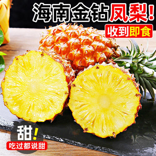 海南金钻凤梨10斤新鲜水果当季芒果手撕香水菠萝特产无眼包邮现摘