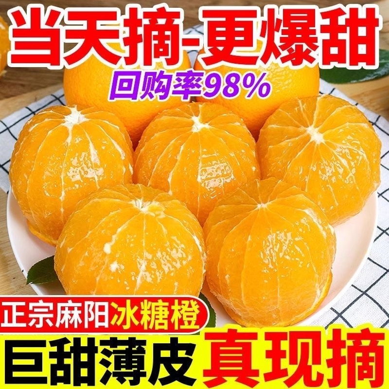 ���ں����������ǳ�����ˮ�����ӵ���������ְ���������� 1�� 55mm���� 7.99Ԫ