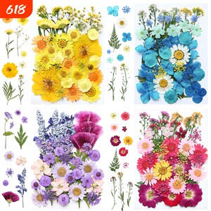 DIY滴胶永生花|回购1.5万次