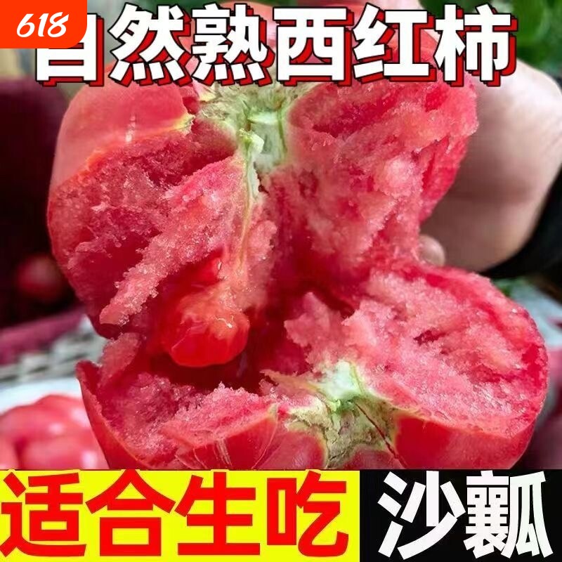 正宗普罗旺斯水果西红柿当季生吃沙瓤番茄老人儿童减脂蔬菜新鲜