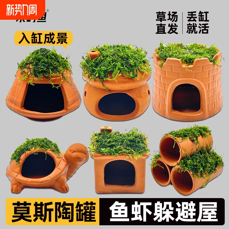 水屿鱼鱼缸水草造景莫斯水草懒人真植物躲避罐陶罐虾屋摆件小鱼躲