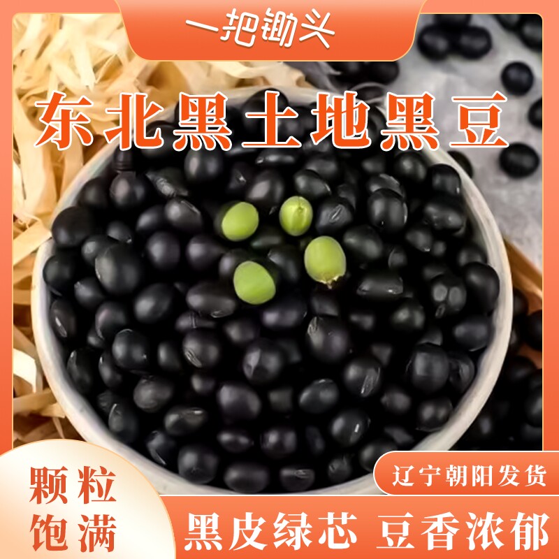 新货绿芯生黑豆打豆浆专用东北农家自种杂粮黑大豆子发芽5斤批发