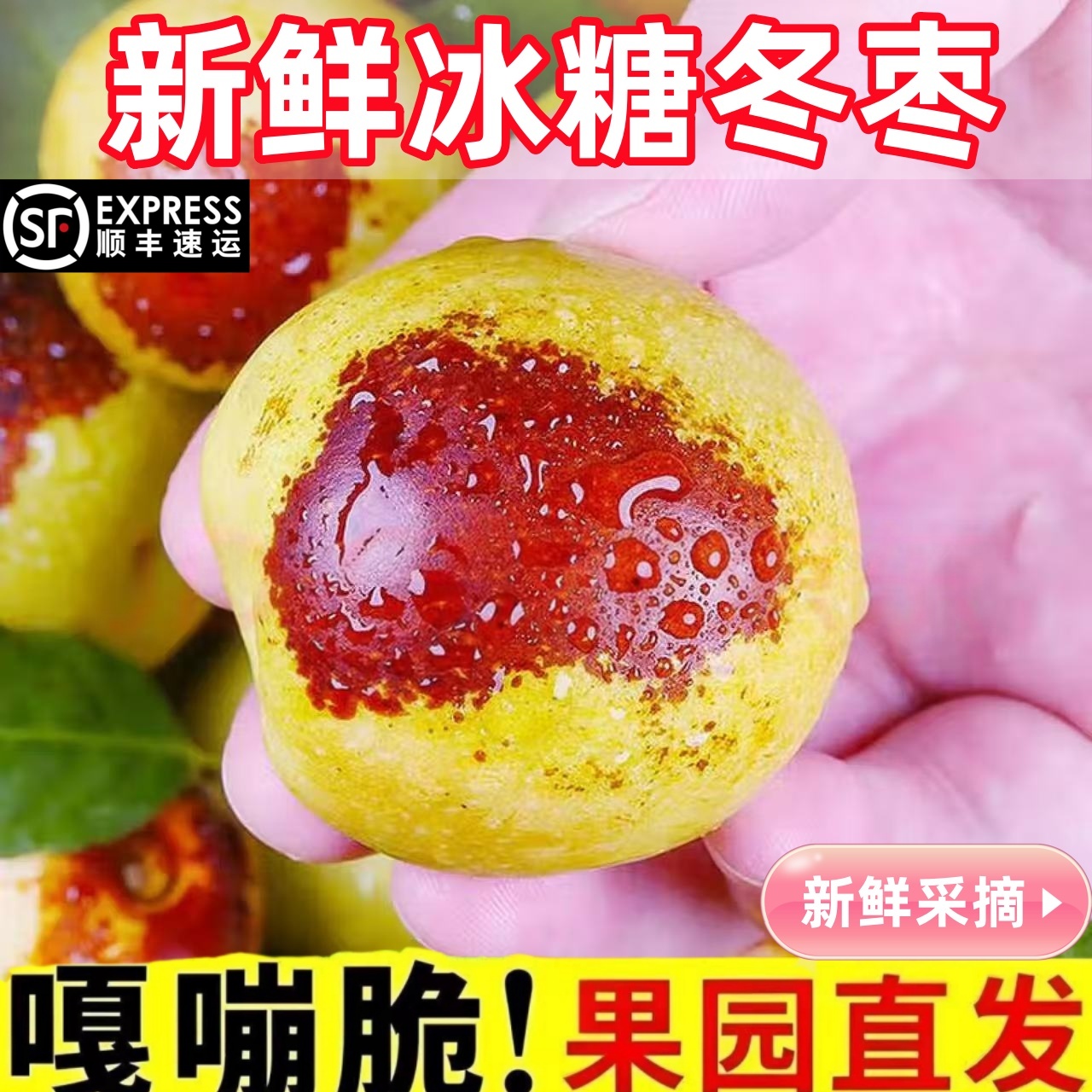顺丰包邮正宗冬枣新鲜大果应季整箱枣子现摘脆枣冰糖大枣当季水果