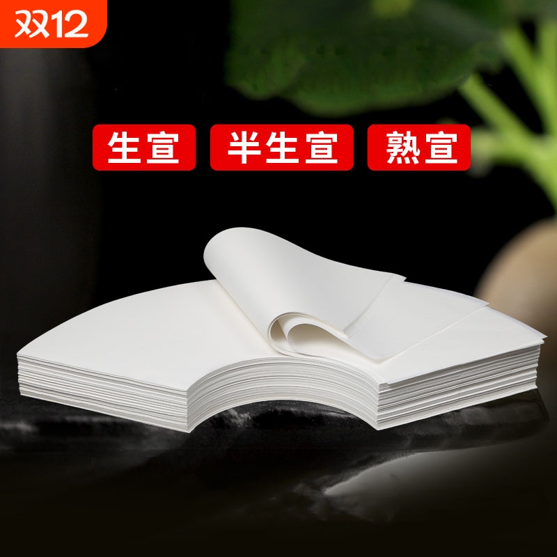 扇形半生熟国画纸芯工笔画书法作品用纸生宣熟宣白描扇面软笔写意山水水墨画白色仿古宣纸空白画芯初学者专用