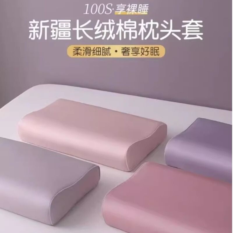 乳胶枕套枕头套100s长绒棉一对家用60x40cm纯棉记忆儿童30x50内胆