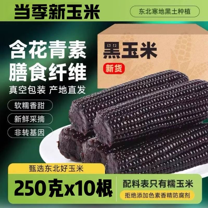 2025年东北玉米粘苞米黑糯玉米新鲜真空包装甜玉米低脂代餐美味