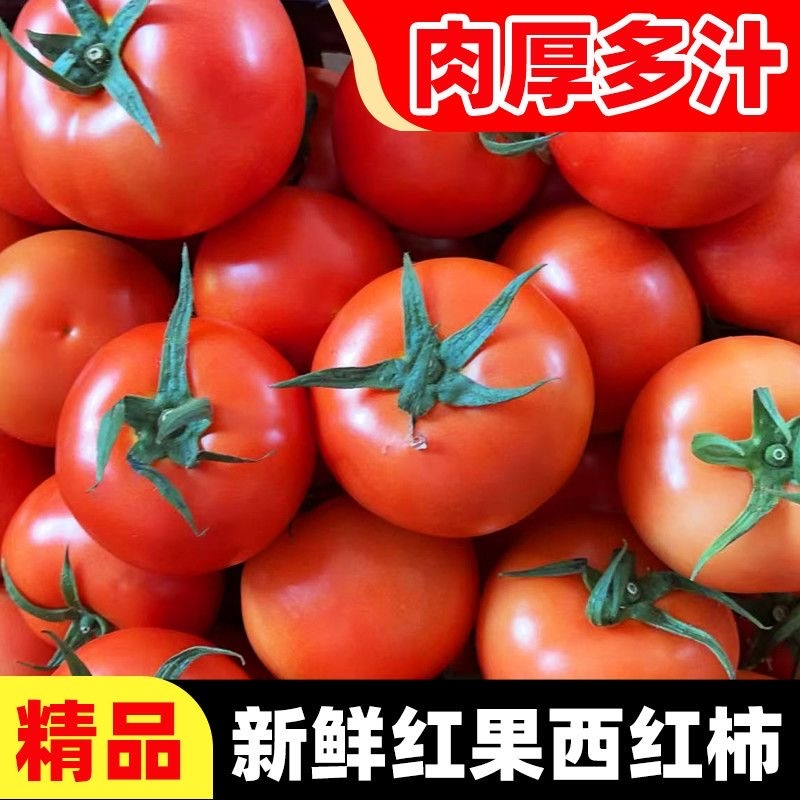 正宗自然熟沙西红柿5斤