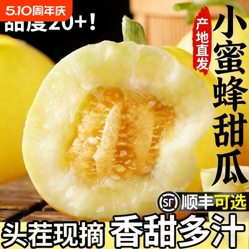 正宗山东小蜜蜂甜瓜香瓜新鲜水果多汁小黄金瓜应季整箱顺丰JD包邮
