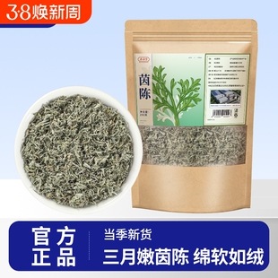 野生茵陈新货白蒿茶去黄绵泡水正品的功效与作用中药材茵陈茶新鲜