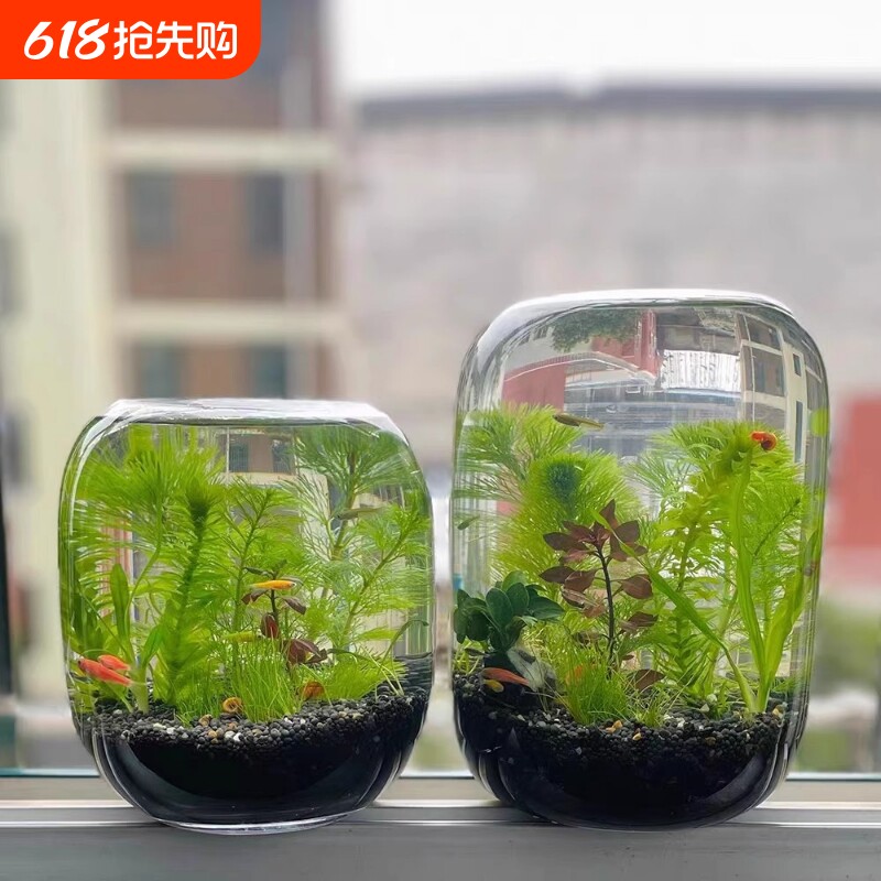 生态瓶微景观鱼小型小鱼缸桌面造景观赏鱼虾diy创意礼物生态鱼缸