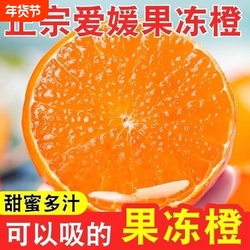 四川眉山38号爱媛果冻橙4.5斤