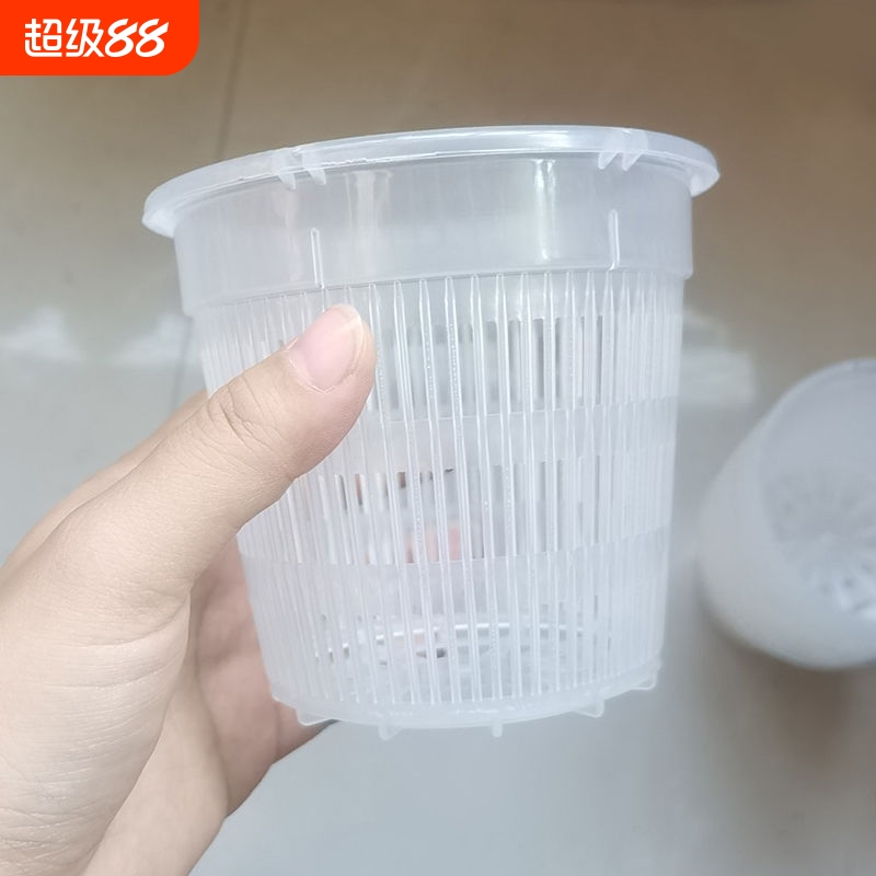 控根盆兰花专用盆透气控水防烂蝴蝶兰地面盆绿植盆桌面花卉盆园艺