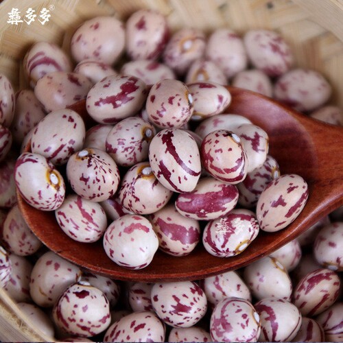新货云南雀蛋豆子奶花芸豆熊猫豆圆农家五谷杂粮农家自产花豆豆类