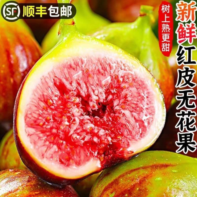 顺丰包邮四川红皮新鲜无花果水果波姬红现摘鲜果糖包子红心大果