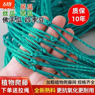 加粗爬藤网植物攀爬网丝瓜黄瓜豆角蔬菜瓜果葡萄百香果种植网绳子