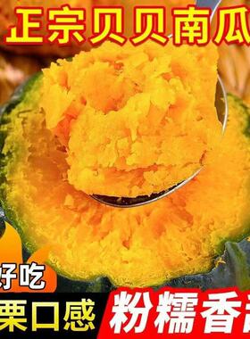 新鲜贝贝小南瓜粉面板栗味婴儿