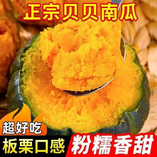 新鲜贝贝小南瓜粉面板栗味婴儿