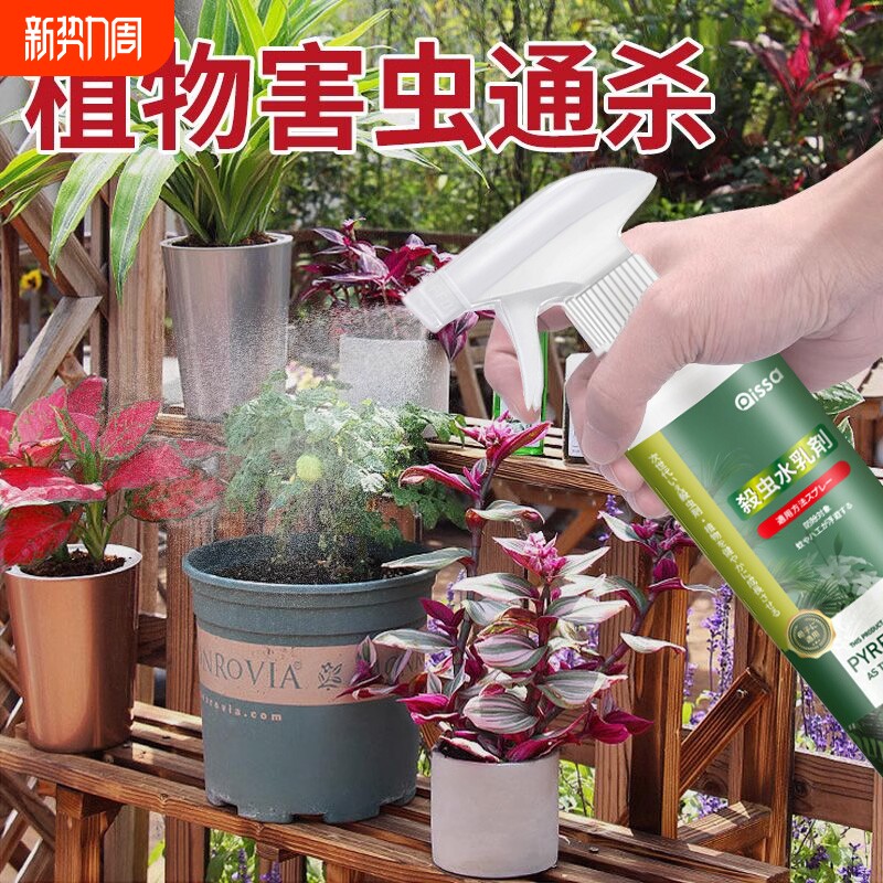 杀虫剂花卉植物花草通用非专用除红蜘蛛蚧壳虫蚜虫杀虫药多肉家用